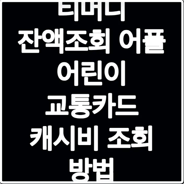 티머니 잔액조회 어플 어린이 교통카드 캐시비 조회 방법