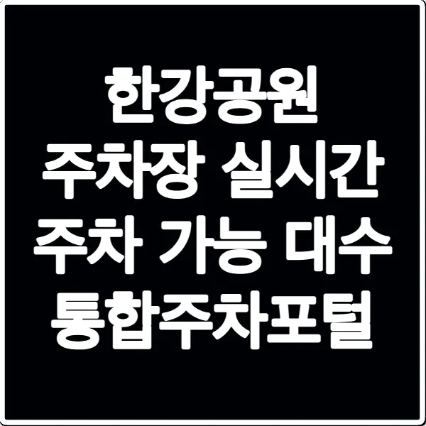 한강공원 주차장 실시간 주차 가능 대수 통합주차포털