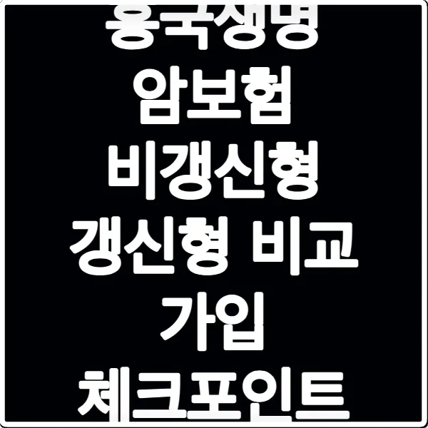 흥국생명 암보험 비갱신형 갱신형 비교 가입 체크포인트