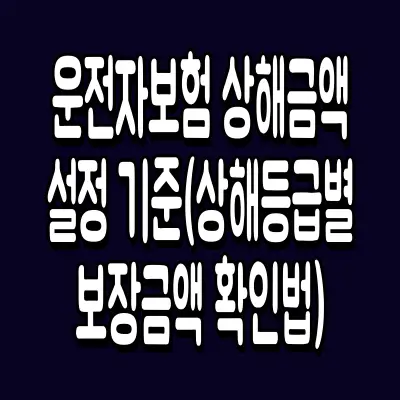 운전자보험 상해금액 설정 기준(상해등급별 보장금액 확인법)